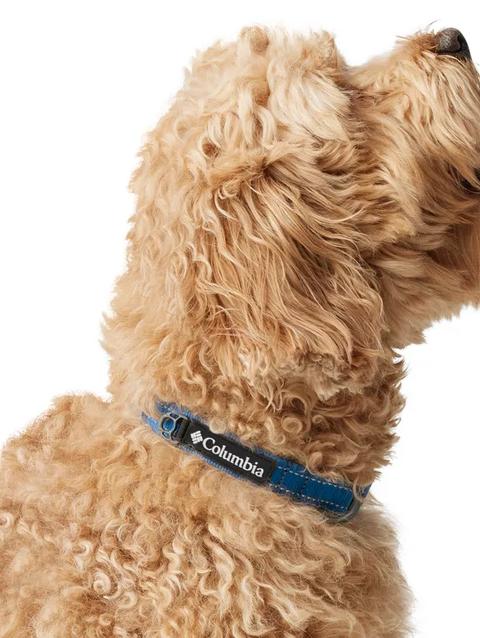 Silver Ridge™ Dog Collar Bright Indigo