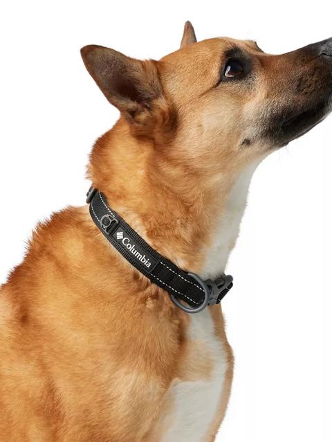 Silver Ridge™ Dog Collar Black