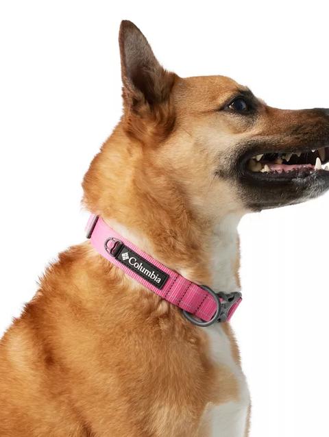 Silver Ridge™ Dog Collar Wild Geranium