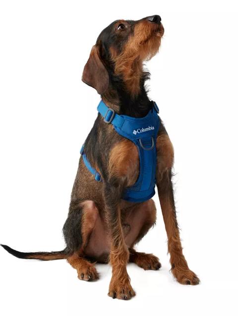 Silver Ridge™ Dog Harness Bright Indigo