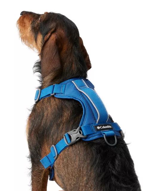 Silver Ridge™ Dog Harness Bright Indigo