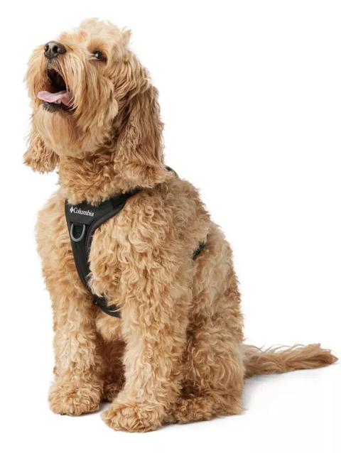 Silver Ridge™ Dog Harness Black