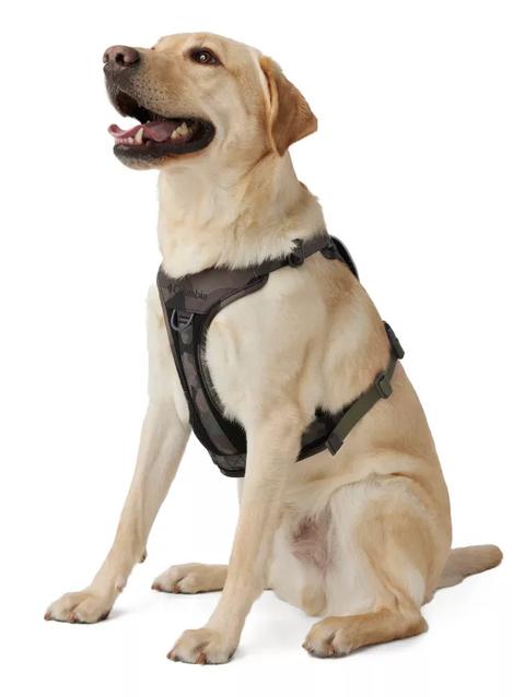 Silver Ridge™ Dog Harness Camo